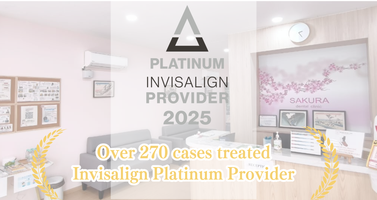 platnium provider 1